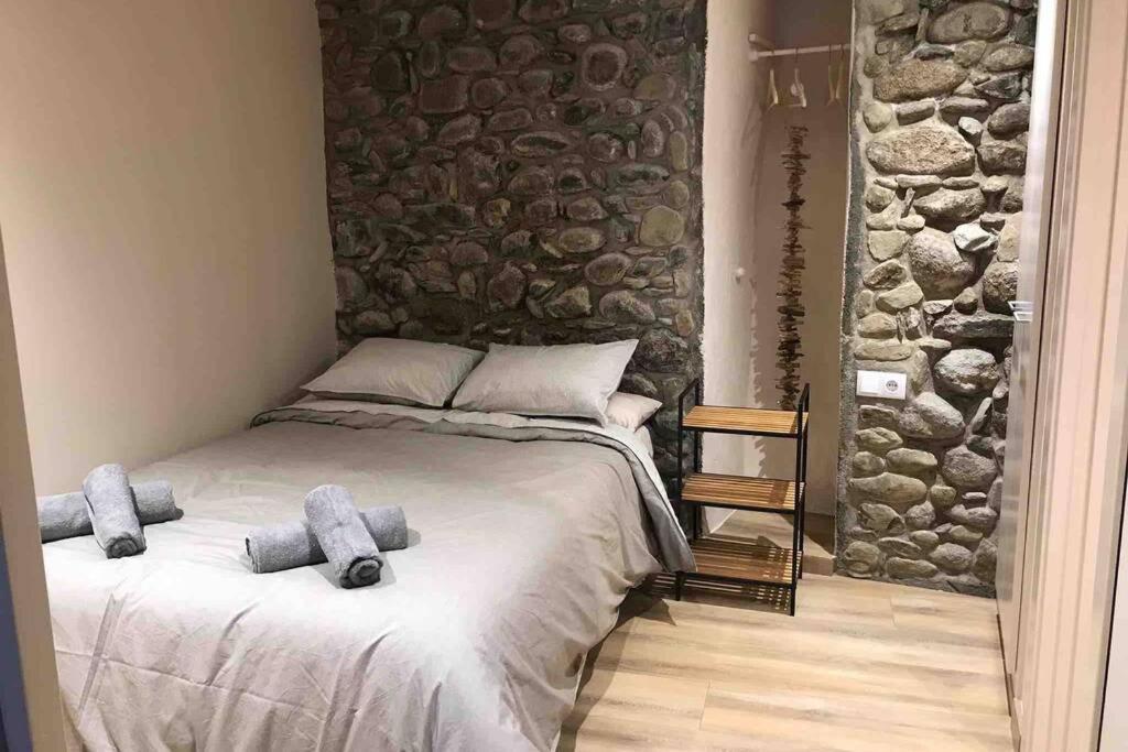 Puigcerda Centro. Acogedor Apartament En El Pueblo Luaran gambar